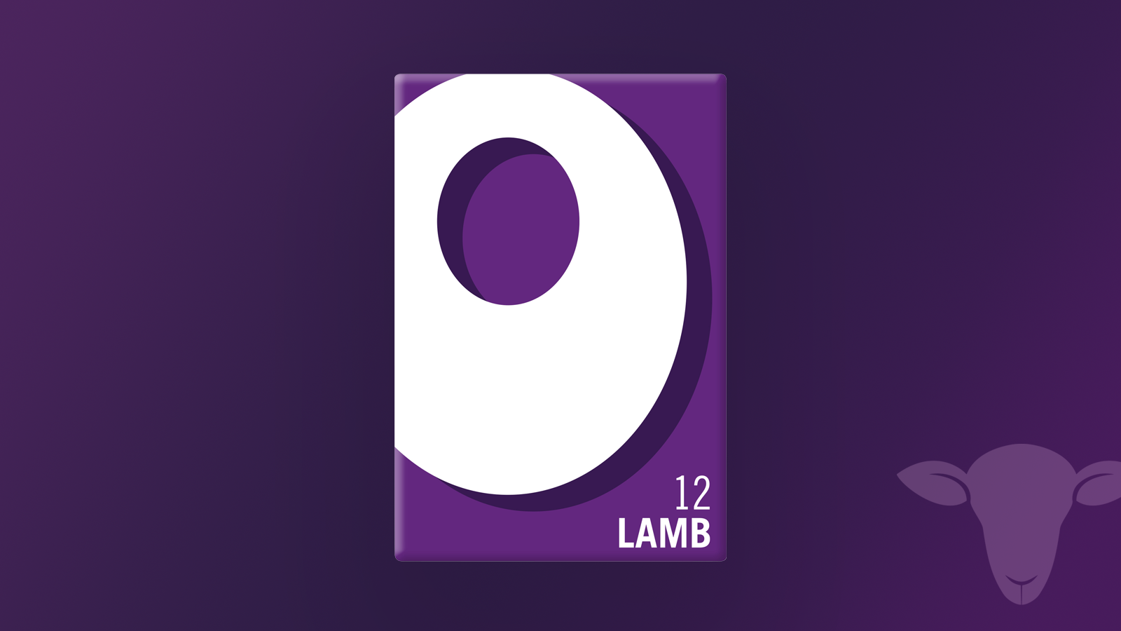 12 lamb stock cubes